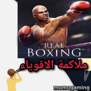 Read more about the article لعبة الملاكمة الشهرة