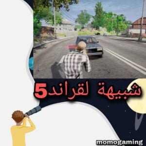 Read more about the article شبيهة قراند5